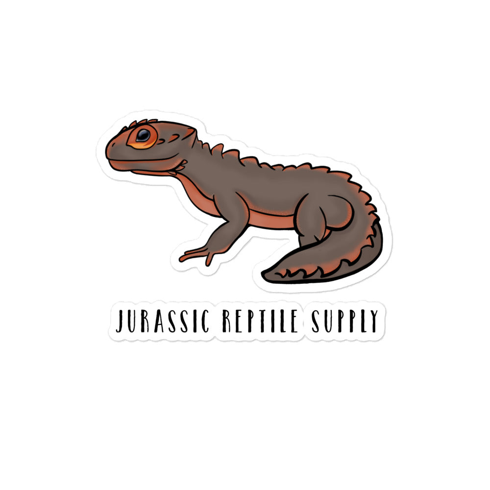 regering rive ned eksotisk Red-Eye Crocodile Skink Stickers – Jurassic Reptile Supply