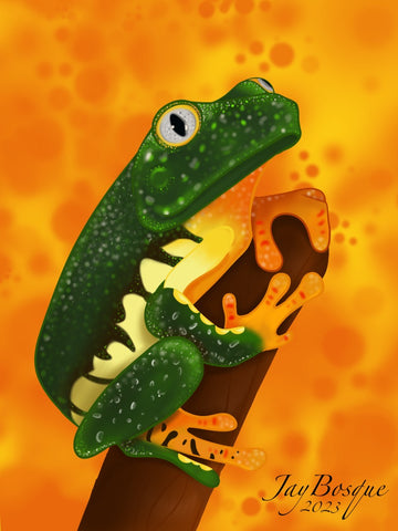 8x11.5” Tree Frog Art Print