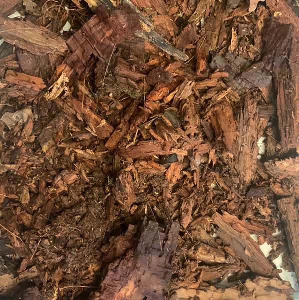 Red Wood Litter